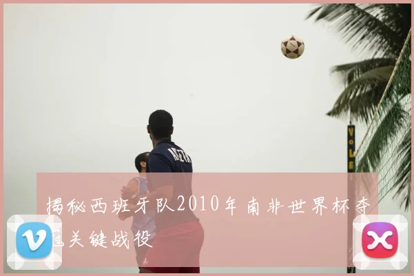 揭秘西班牙队2010年南非世界杯夺冠关键战役