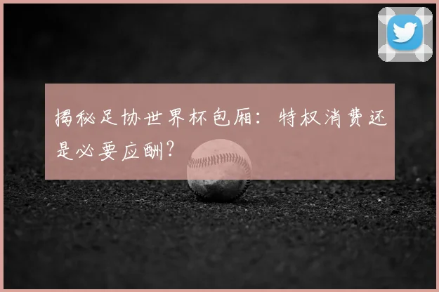 揭秘足协世界杯包厢：特权消费还是必要应酬？