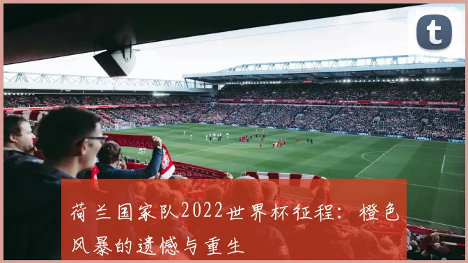 荷兰国家队2022世界杯征程：橙色风暴的遗憾与重生