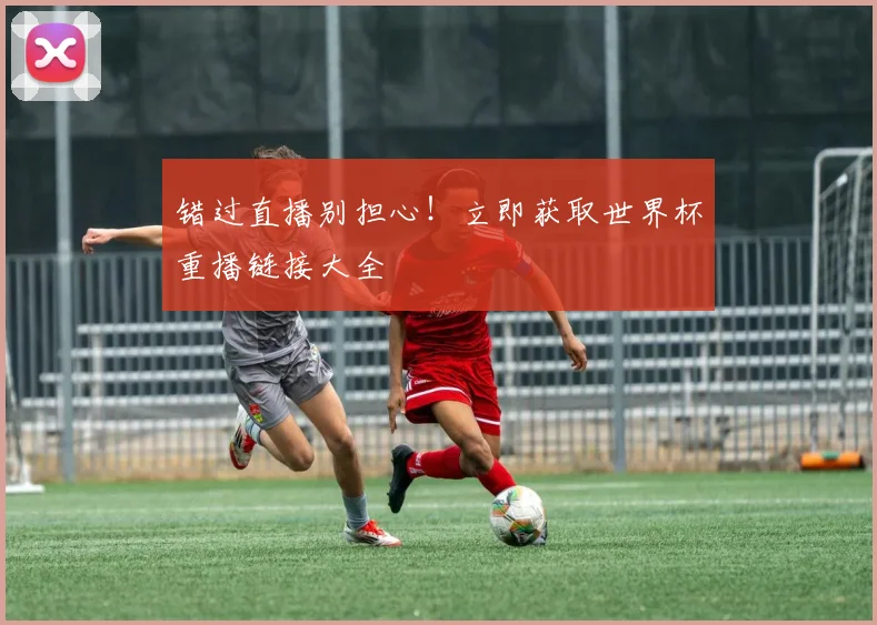 错过直播别担心！立即获取世界杯重播链接大全