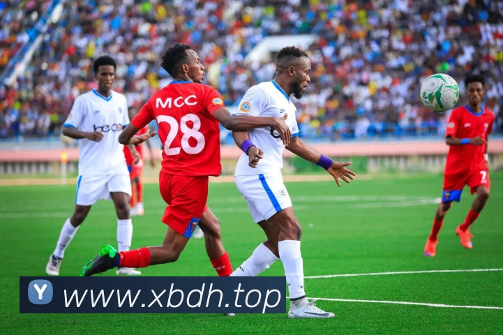 App Interface Preview