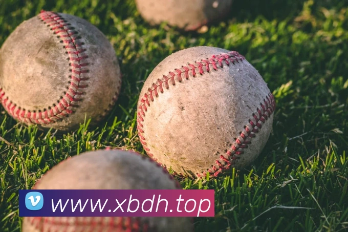 乐鱼网页版登录界面首页APP 封面图